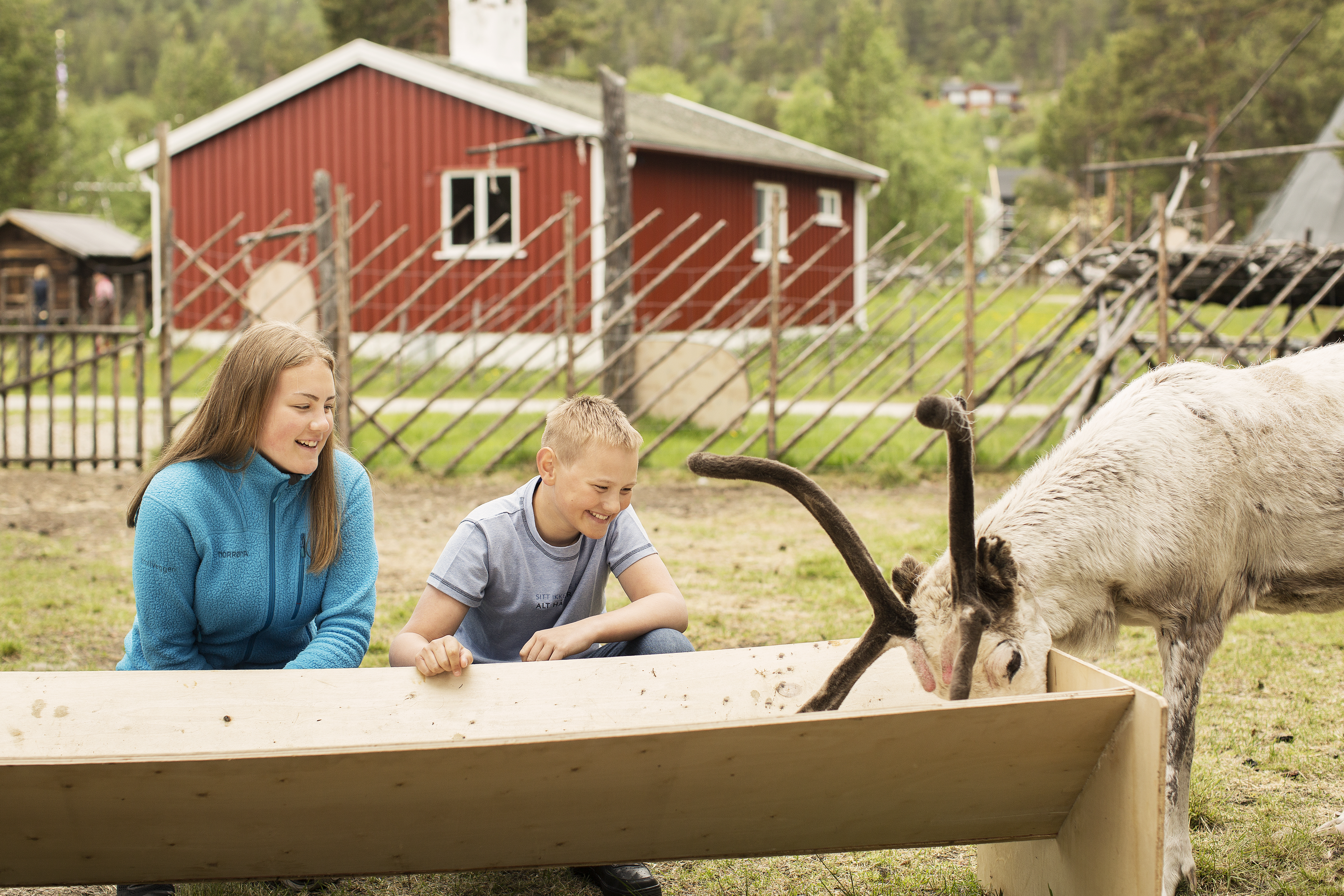 Barn lærer om reindriften. Foto: Maria Lovise Somby / www.nordnorge.com.